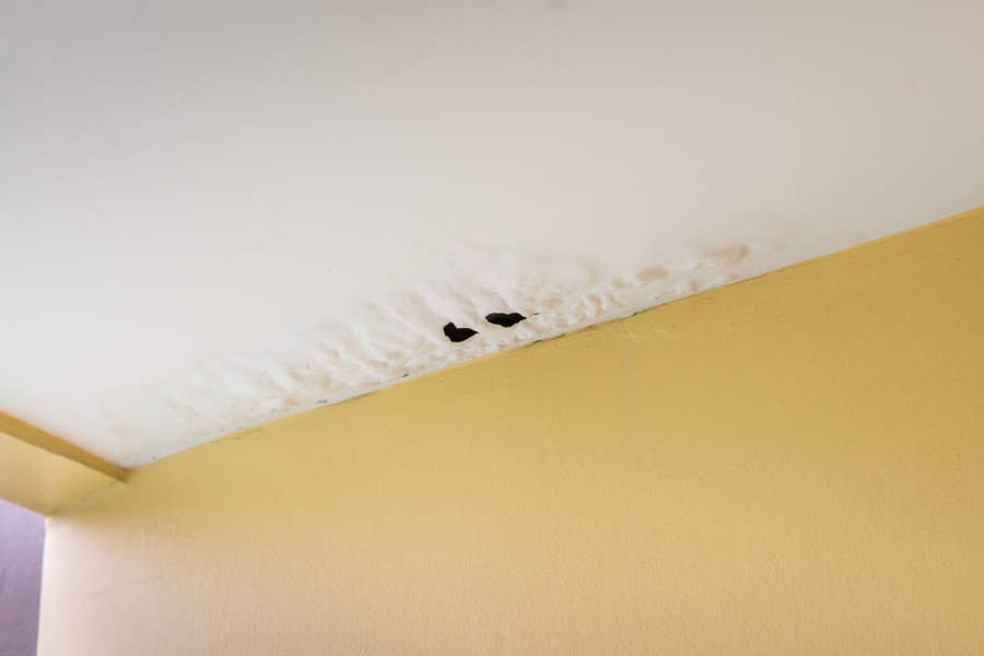 Ceiling stain inside of home from leaky rooftop