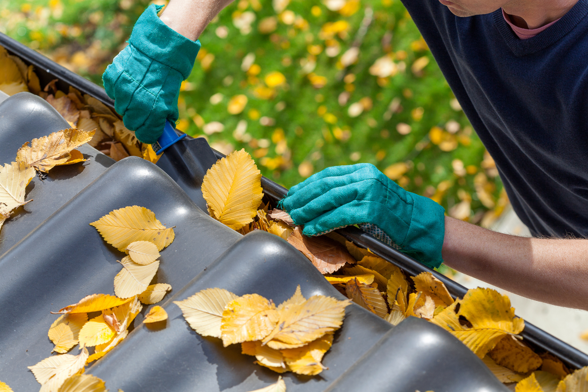 Homeowners cleaning leaves from gutter in autumn