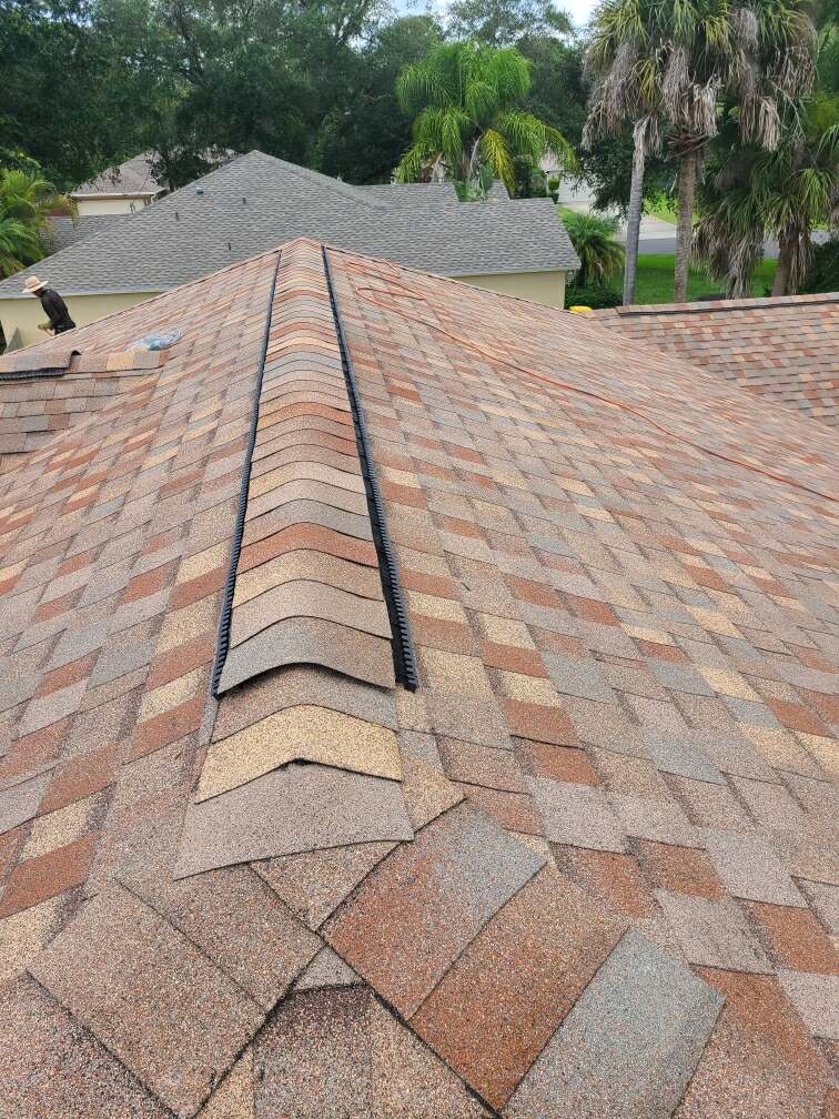 shingle roof in florida