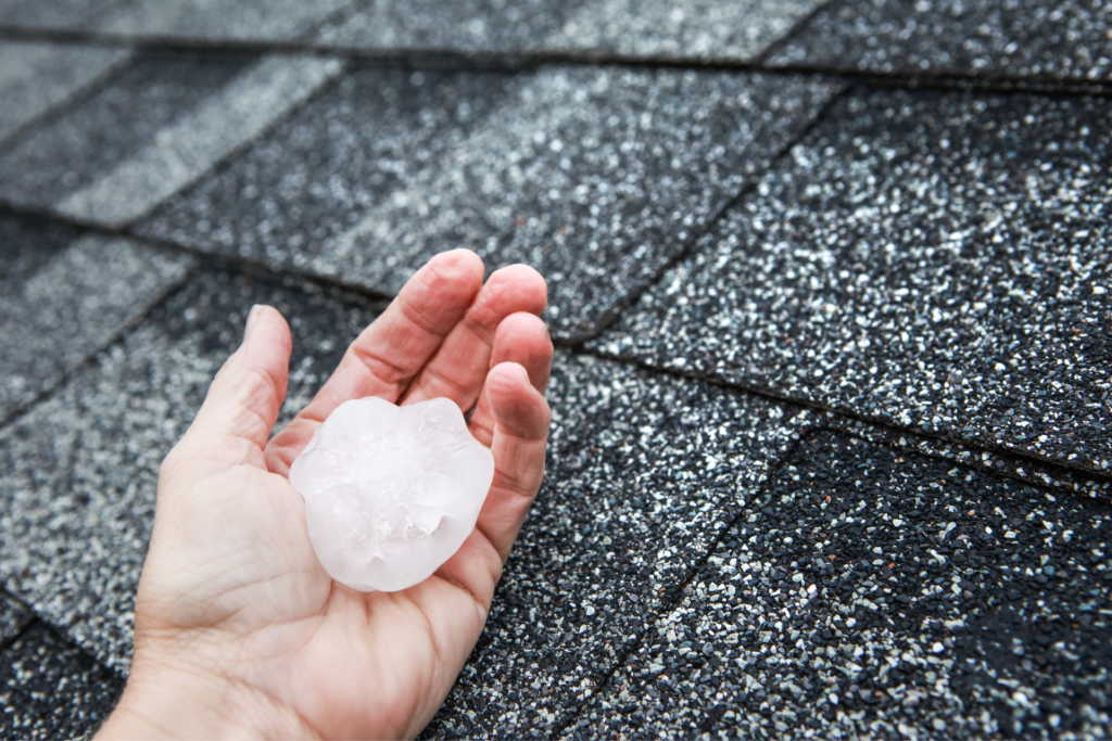 roofer holding huge hailstone over asphalt shingles